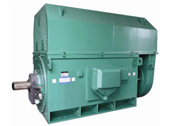 YJTFKK6304-8Y系列6KV高压电机