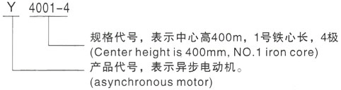 西安泰富西玛Y系列(H355-1000)高压YJTFKK6304-8三相异步电机型号说明