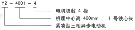 YR系列(H355-1000)高压YJTFKK6304-8三相异步电机西安西玛电机型号说明